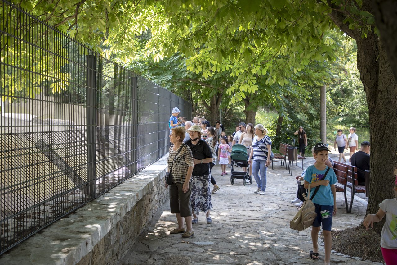РЕКОНСТРУКЦИЯ ЗООПАРК СТАРА ЗАГОРА – мечки